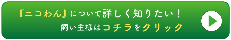 犬の皮膚病相談室へ