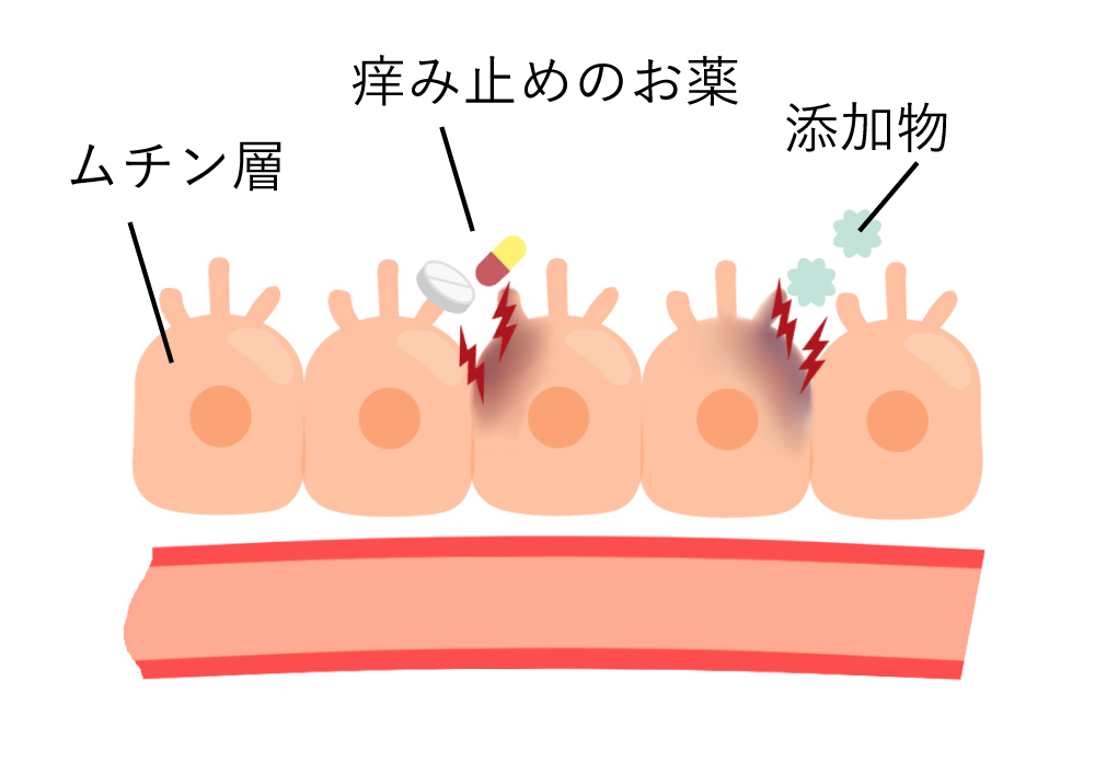 ムチン層によって守られている