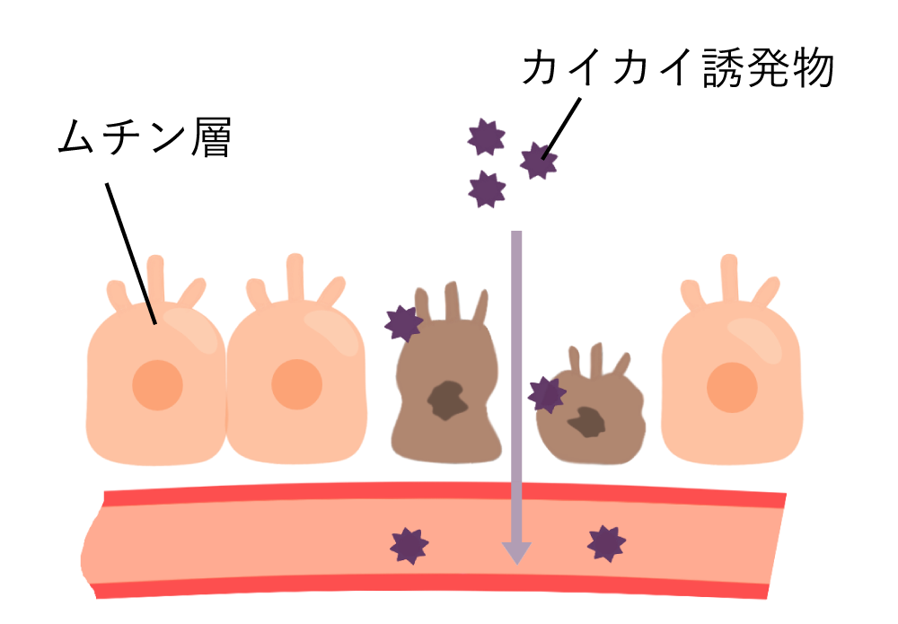 ムチン層によって守られている
