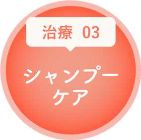 シャンプーケア