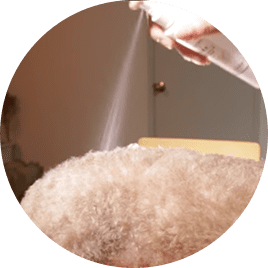 入浴シャンプー