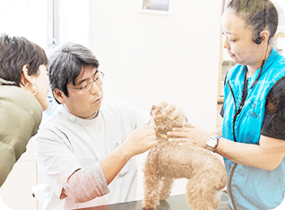 身体に優しい治療